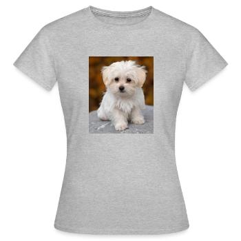 Maltais Doux - T-shirt Femme - gris chiné - Devant - AI Model Female 172 dark (172cm)