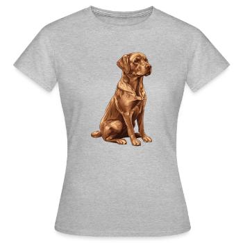 Brown Labrador - Women's T-Shirt - heather grey - Front - AI Model Female 172 dark (172cm)