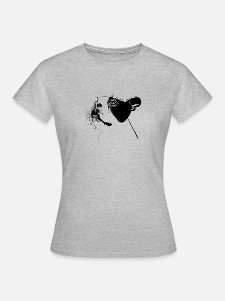 Boston Terrier - Frauen T-Shirt - Grau meliert