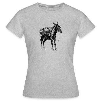 ass - Women's T-Shirt - heather grey - Front - AI Model Female 172 dark (172cm)