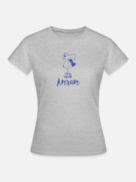 Amrum Moewe - Frauen T-Shirt - Grau meliert