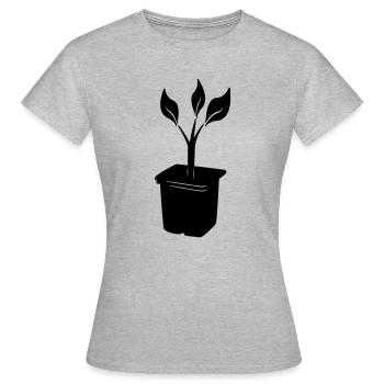 Schneiden in der Aufzuchtschale - Frauen T-Shirt - Grau meliert - Vorne - AI Model Female 172 dark (172cm)
