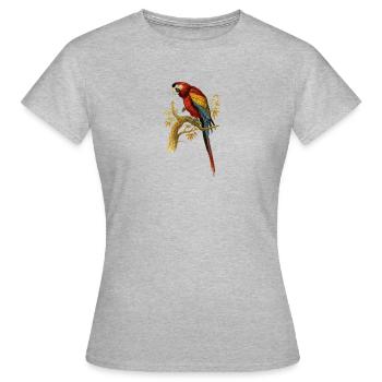 Illustration d'oiseau perroquet Perroquet Ara Arara Macao - T-shirt Femme - gris chiné - Devant - AI Model Female 172 dark (172cm)