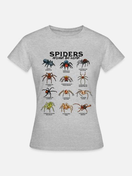 Spinnen auf der Welt - Spinnen - Frauen T-Shirt - Grau meliert