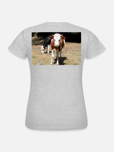 Kuh Poster - Frauen T-Shirt - Grau meliert