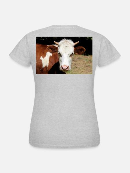 Kuh Poster - Frauen T-Shirt - Grau meliert
