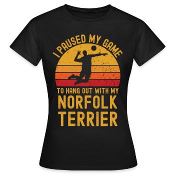 Volleyball und Norfolk-Terrier - Frauen T-Shirt - Schwarz - Vorne - AI Model Female 172 dark (172cm)