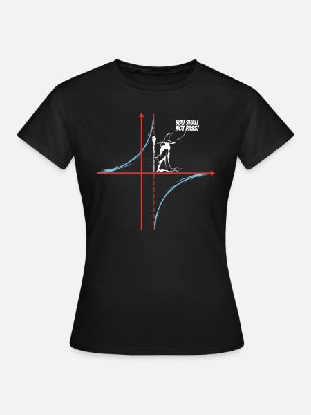 You Shall Not Pass - Mathematiker & Mathelehrer - Dame-T-shirt - sort