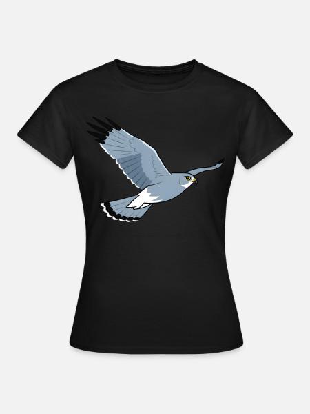 Hen Harrier Circus Cyaneus Bird of Prey - Women's T-Shirt - black