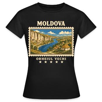 Moldau Orheiul Vechi Vintage Reisemarke - Frauen T-Shirt - Schwarz - Vorne - AI Model Female 172 dark (172cm)