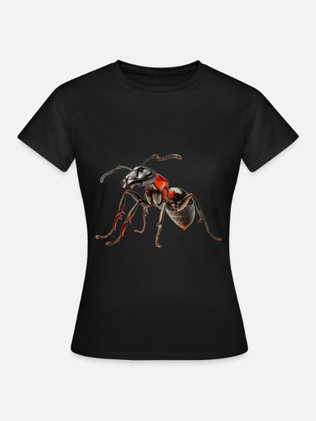 Ameise - Frauen T-Shirt - Schwarz