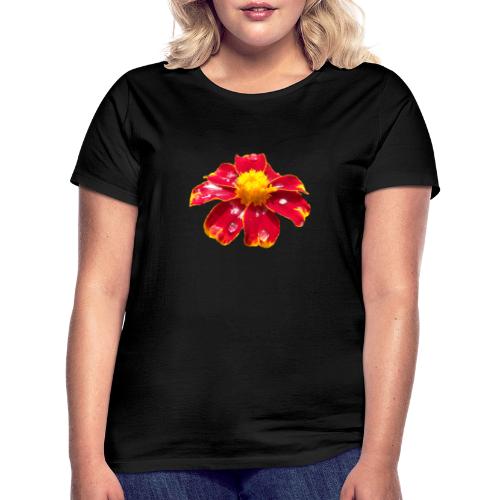 rote Ringelblume mit Regentropfen, Blume, Blüte - Frauen T-Shirt
