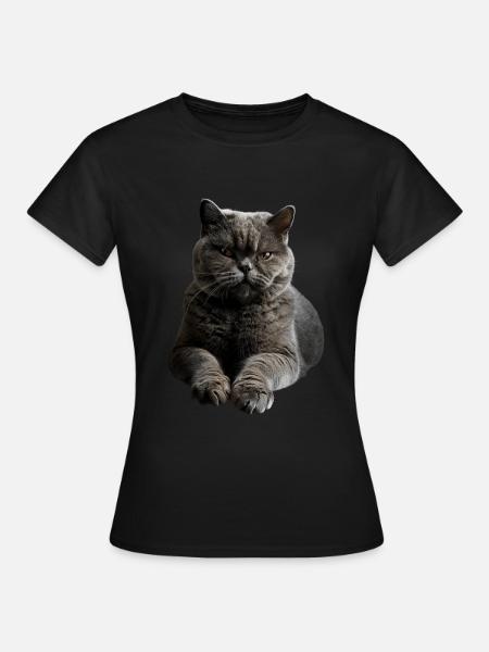 British Shorthair - Frauen T-Shirt - Schwarz