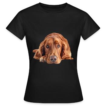 Irish Setter - Frauen T-Shirt - Schwarz - Vorne - AI Model Female 172 dark (172cm)