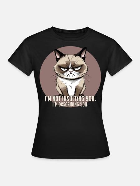 Not insulting just describing angry cat Katze - Women's T-Shirt - black