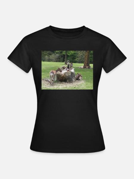 Rehe im Wald - Frauen T-Shirt - Schwarz