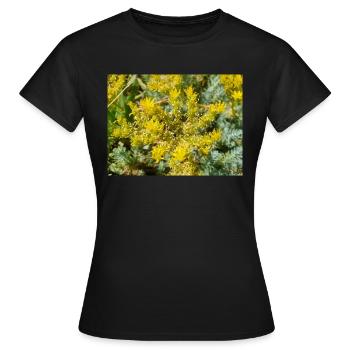 goldmoss stonecrop aussi mossy stonecrop Sedum acre - T-shirt Femme - noir - Devant - AI Model Female 172 dark (172cm)