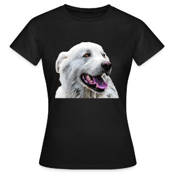 Pyrenees Mountain 2 - Women's T-Shirt - black - Front - AI Model Female 172 dark (172cm)