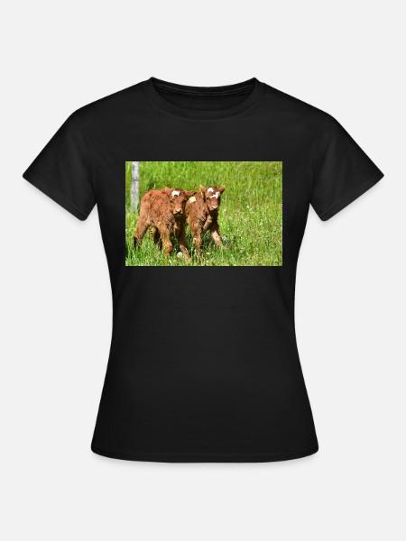 Kälber auf Eifeler Wiesen - Frauen T-Shirt - Schwarz