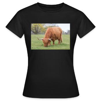 Un bovin des Highlands dans les Highlands écossais - T-shirt Femme - noir - Devant - AI Model Female 172 dark (172cm)