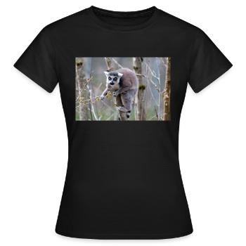 Lémurien à queue annelée (en allemand Katta) Lémurien catta - T-shirt Femme - noir - Devant - AI Model Female 172 dark (172cm)