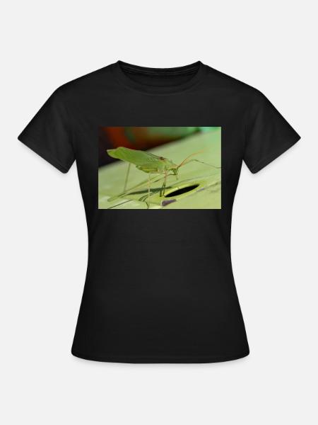 Krauss-Buschgrille Isophya kraussii - Frauen T-Shirt - Schwarz