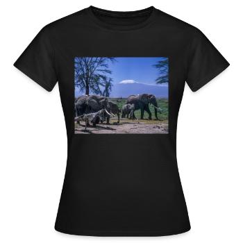 Elefanten vor der Kulisse des Killimandscharo - Frauen T-Shirt - Schwarz - Vorne - AI Model Female 172 dark (172cm)