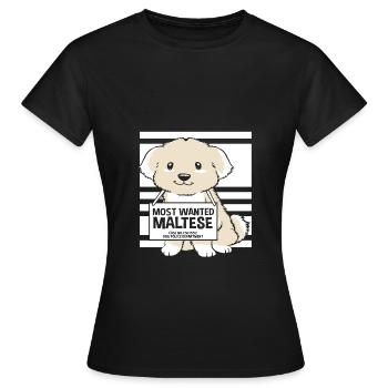 Maltese - Women's T-Shirt - black - Front - AI Model Female 172 dark (172cm)
