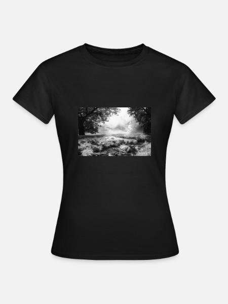 Acryl Nebelwald Gemälde 2 acrbw - Frauen T-Shirt - Schwarz