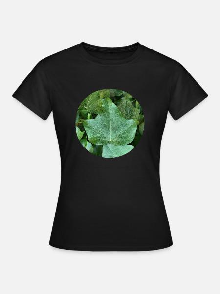 Efeu - Frauen T-Shirt - Schwarz
