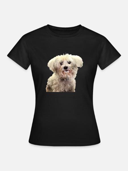 Bichon Maltais 2 - T-shirt Femme - noir