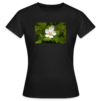 Feld-Rose - Frauen T-Shirt - Schwarz - Vorne - AI Model Female 172 dark (172cm)
