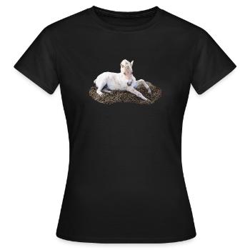 Schlafendes fohlen auf Heu - Frauen T-Shirt - Schwarz - Vorne - AI Model Female 172 dark (172cm)