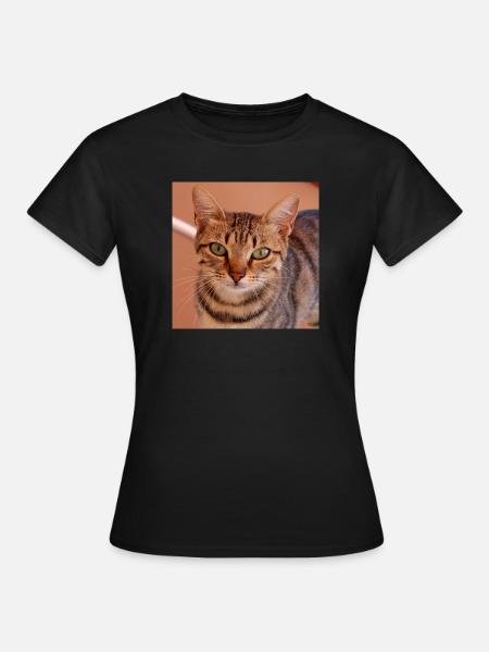 Katze Kätzchen Poster quadratisch Katzenposter - Frauen T-Shirt - Schwarz