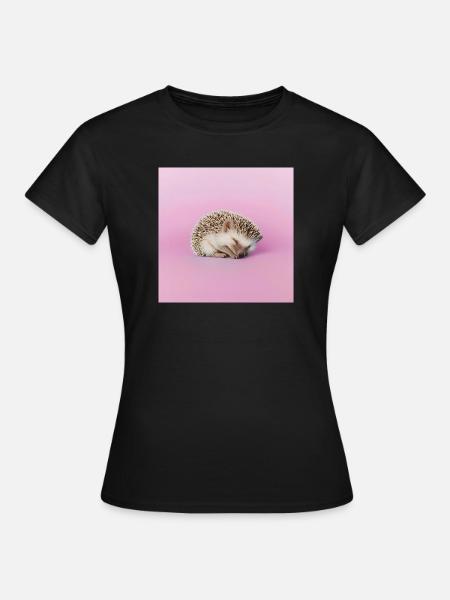 Sleeping hedgehog on pasty pink background - Women's T-Shirt - black
