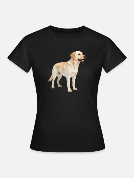 Beige Labrador im Profil - Frauen T-Shirt - Schwarz