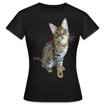 Tabby - Women's T-Shirt - black - Front - AI Model Female 172 dark (172cm)