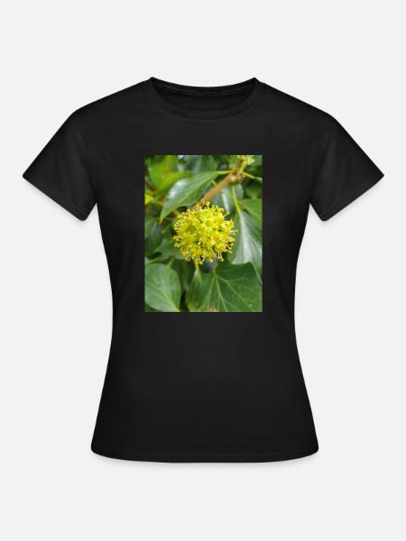 Persischer Efeu (Kolchischer Efeu) - Frauen T-Shirt - Schwarz