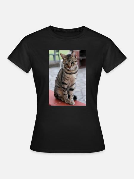 Katze Kätzchen Poster Katzenposter - Frauen T-Shirt - Schwarz