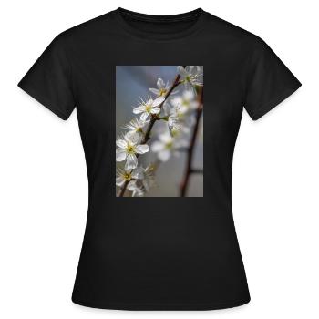 Des cerisiers blancs délicats au printemps - T-shirt Femme - noir - Devant - AI Model Female 172 dark (172cm)
