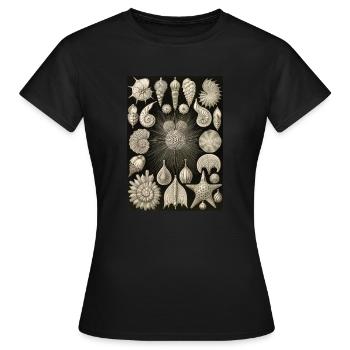 Ernst Haeckel -Thalamophora - T-shirt Femme - noir - Devant - AI Model Female 172 dark (172cm)