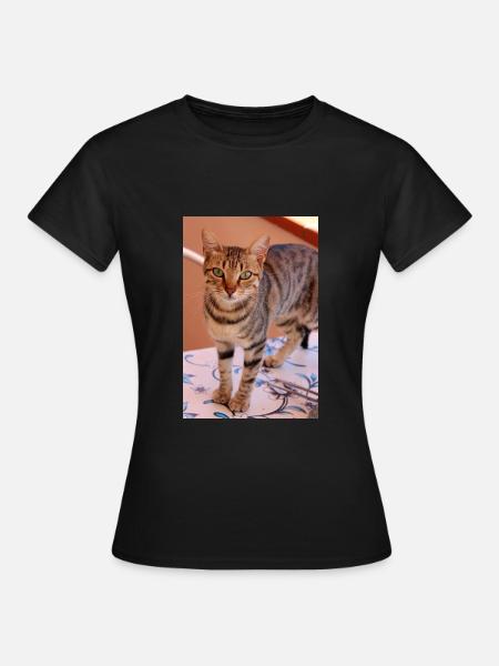 Katze, Kätzchen - Frauen T-Shirt - Schwarz