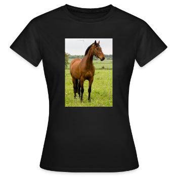 Cheval. Cheval. - T-shirt Femme - noir - Devant - AI Model Female 172 dark (172cm)