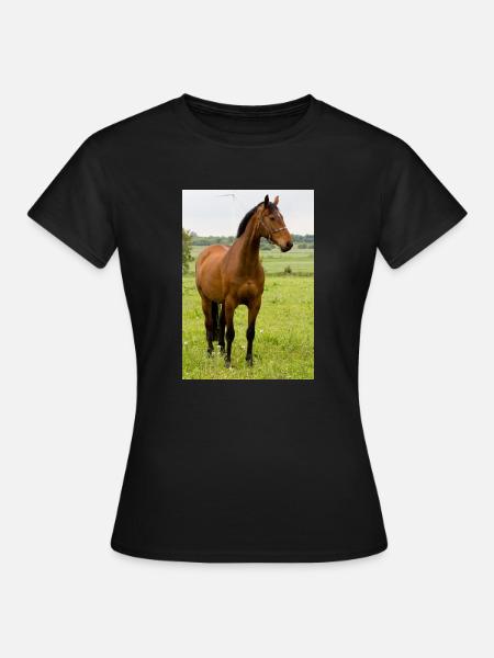 Horse. Horse. - Women's T-Shirt - black