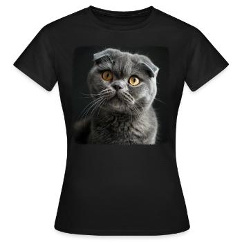 Scottish Fold Kitten Scottish Fold Cat - Women's T-Shirt - black - Front - AI Model Female 172 dark (172cm)