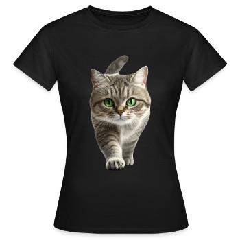 Exotische Kurzhaarkatze - Frauen T-Shirt - Schwarz - Vorne - AI Model Female 172 dark (172cm)