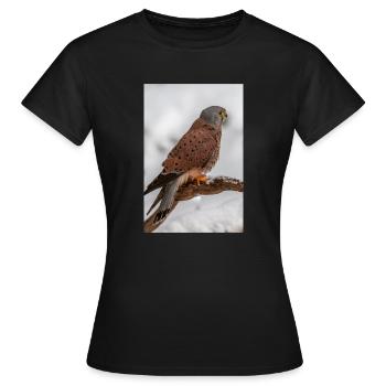 Turmfalke im Schnee IG32258 2 - Frauen T-Shirt - Schwarz - Vorne - AI Model Female 172 dark (172cm)