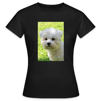 Malteser - Frauen T-Shirt - Schwarz - Vorne - AI Model Female 172 dark (172cm)