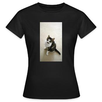 Pretty Kitty - Women's T-Shirt - black - Front - AI Model Female 172 dark (172cm)