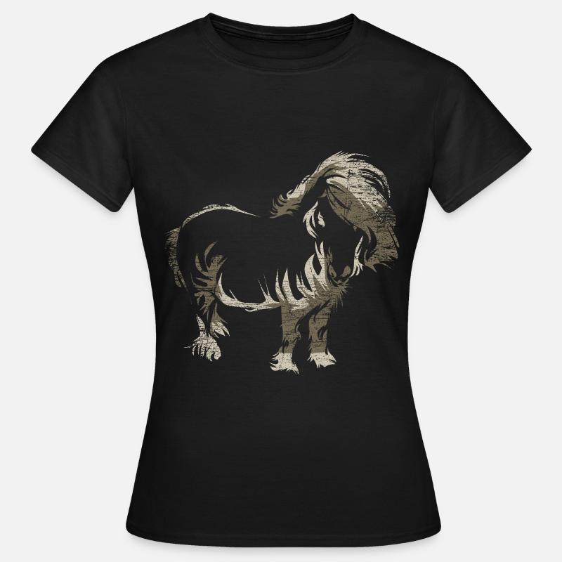 Shetland pony gift - Women's T-Shirt - black